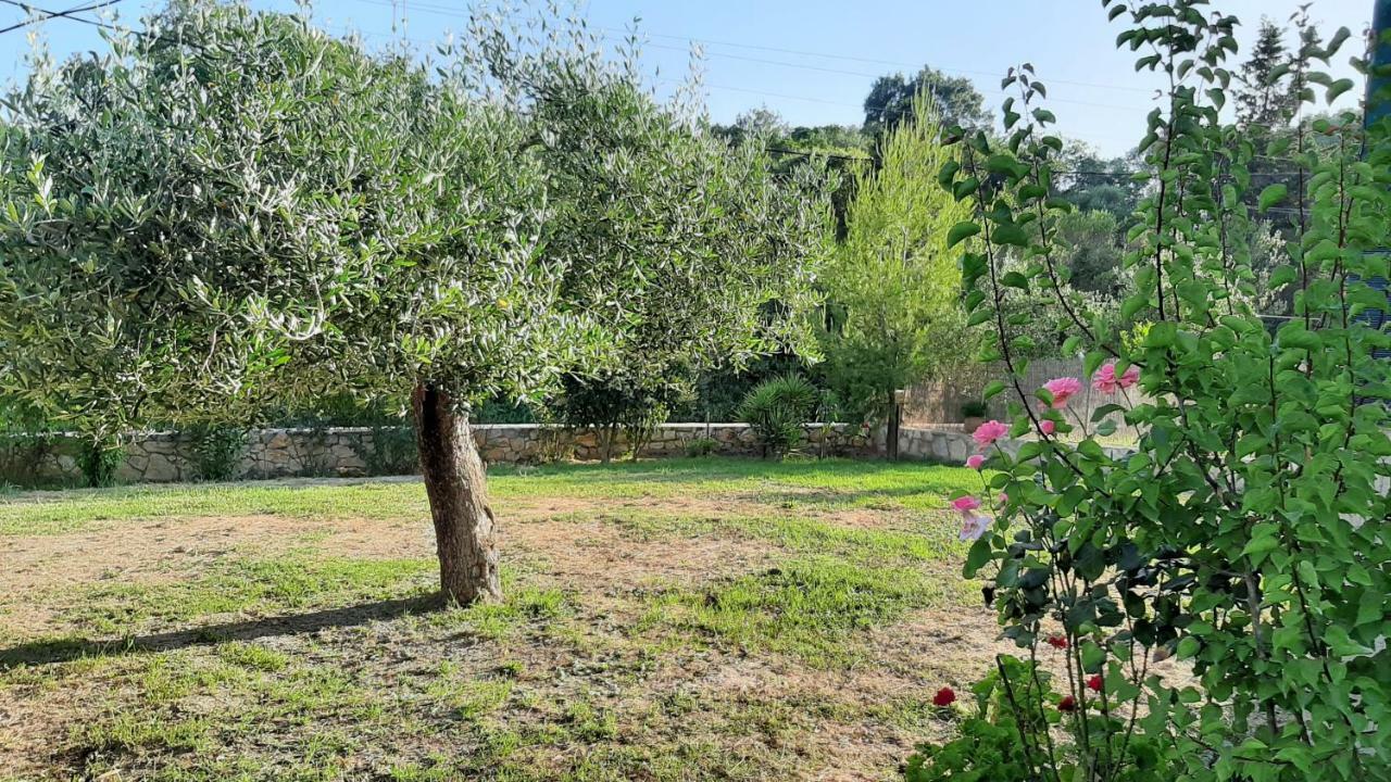 דירות מרטיאס Andri House מראה חיצוני תמונה